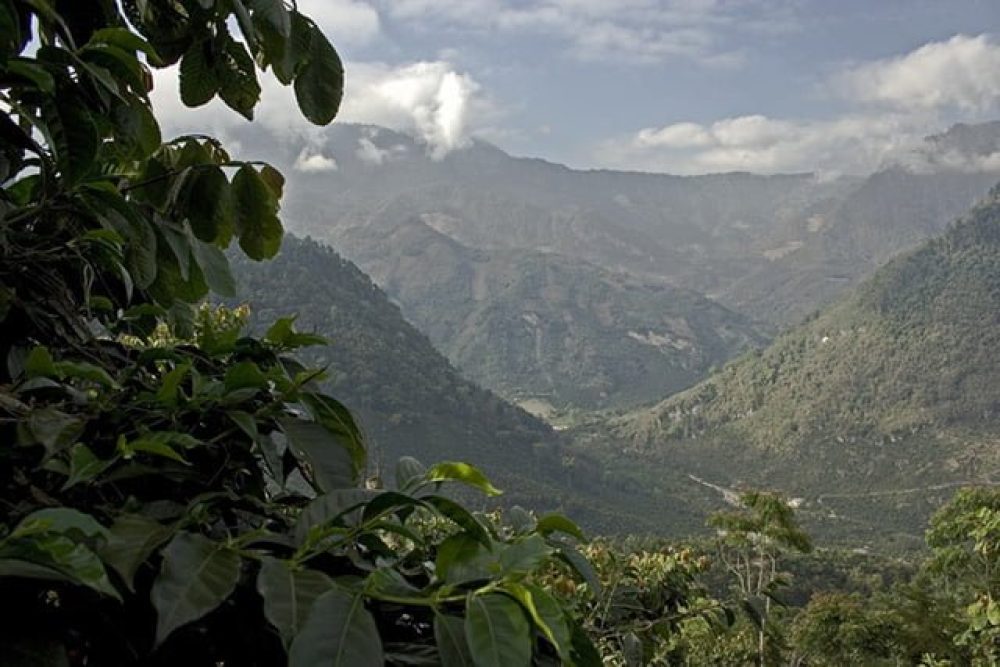Guatemala FTO Huehuetenango-ADINTHEC