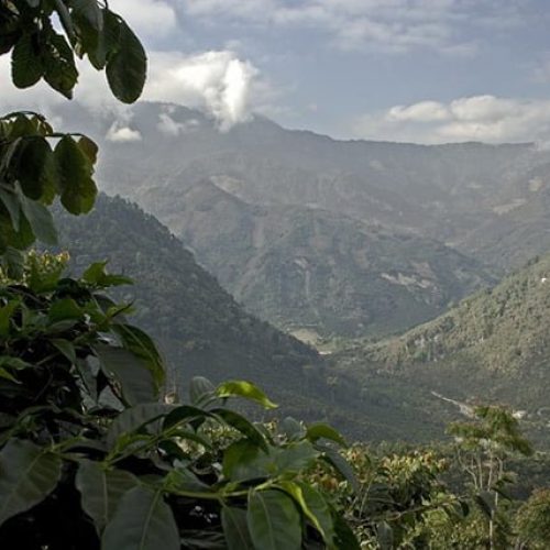 Guatemala FTO Huehuetenango-ADINTHEC
