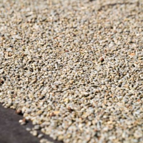 SUMATRA-Aceh DP Harimau Tiger